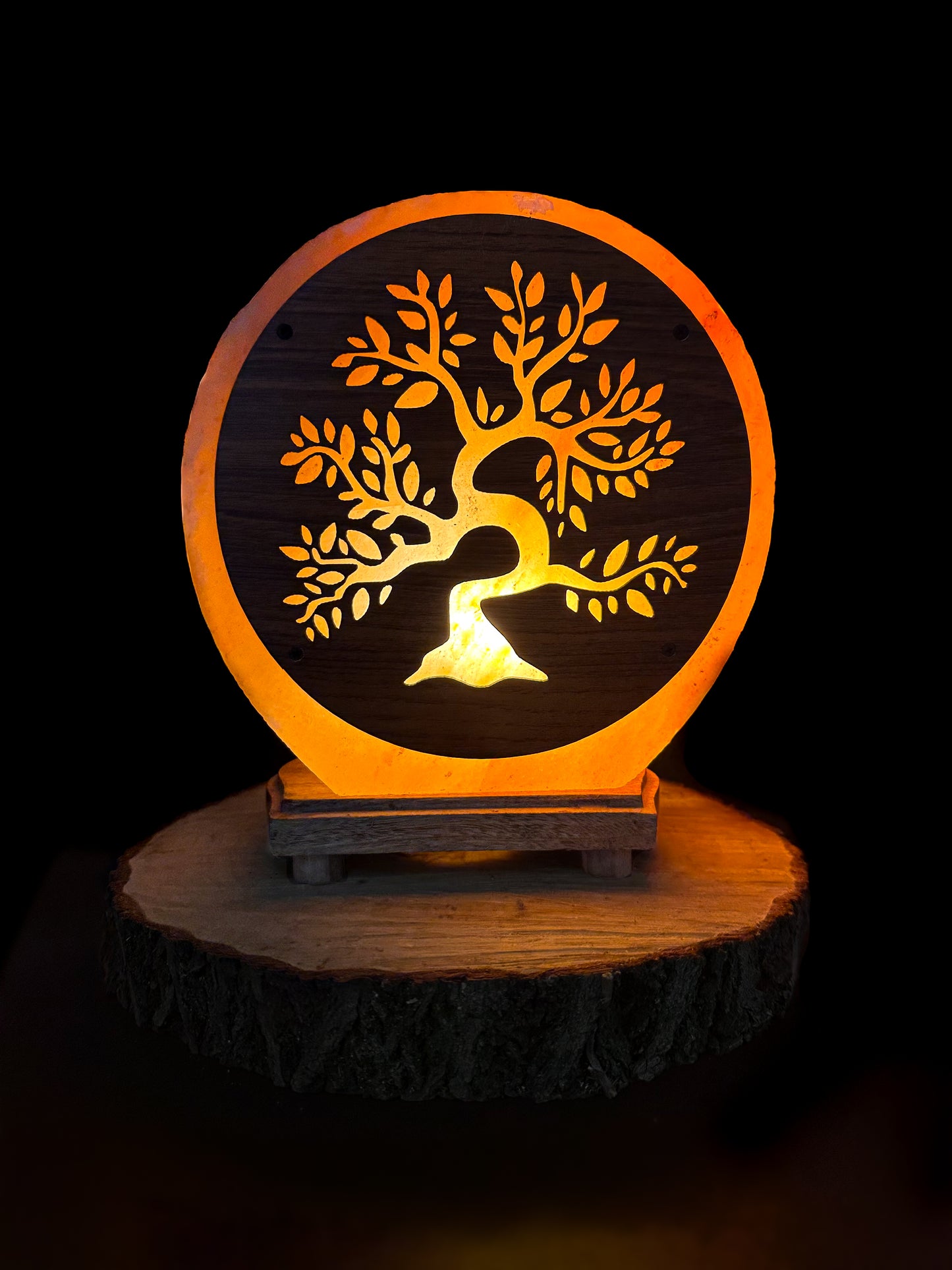 Lampe de sel Himalaya Arbre de vie - Ancrage & Vitalité