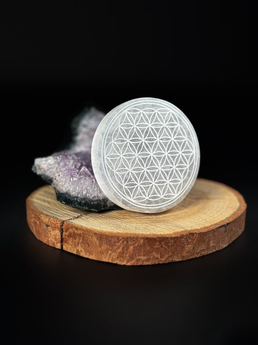 Plaque Fleur de vie 70 à 80 mm A+